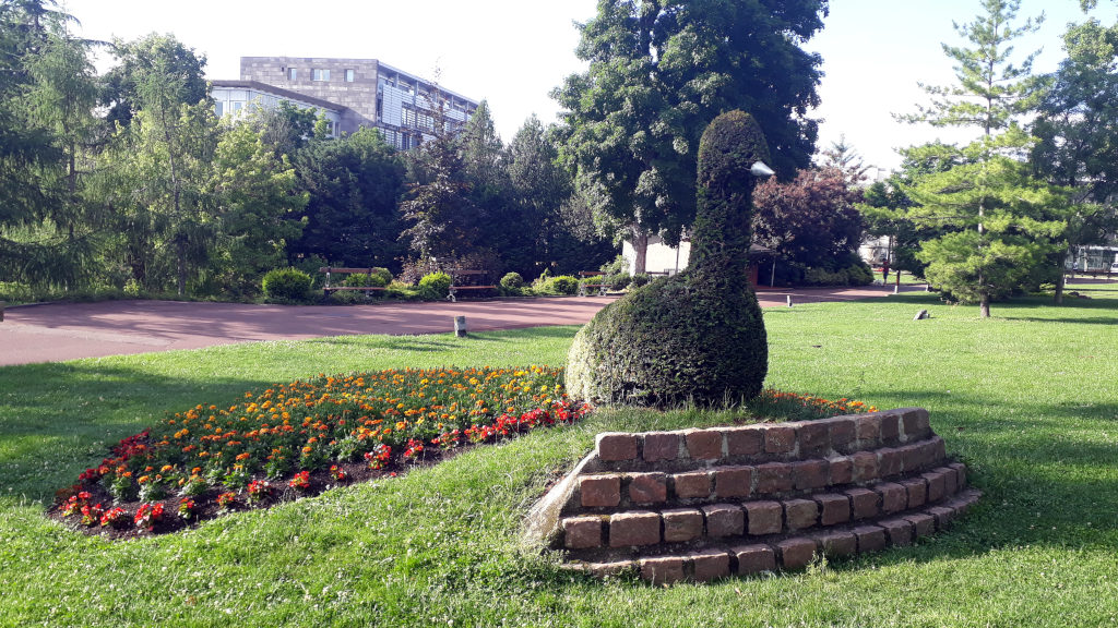 sculpture végétale de paon